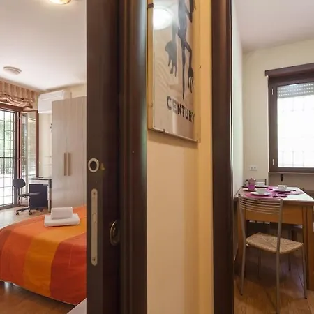 Vatican Spacious With Terrace